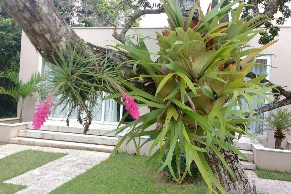 Buzios Requinte & Sofisticacao Villa Ngoại thất bức ảnh